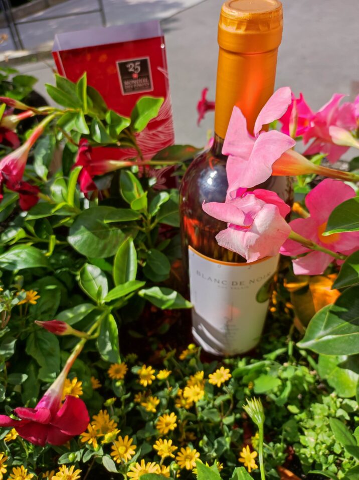 Notre rosé 2024 se pare d’or au Mondial du Pinot Noir